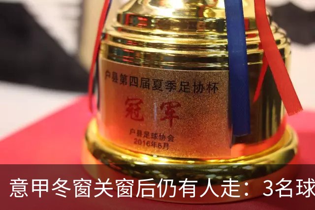 意甲冬窗关窗后仍有人走：3名球员同日离队，2人去了土耳其